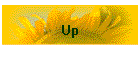 Up