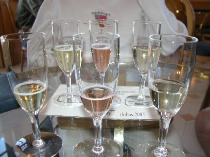 Champagne_webcopyright.jpg (125236 bytes)